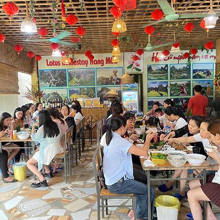 Hang Mua Lotus Homestay Ninh Bình Extérieur photo