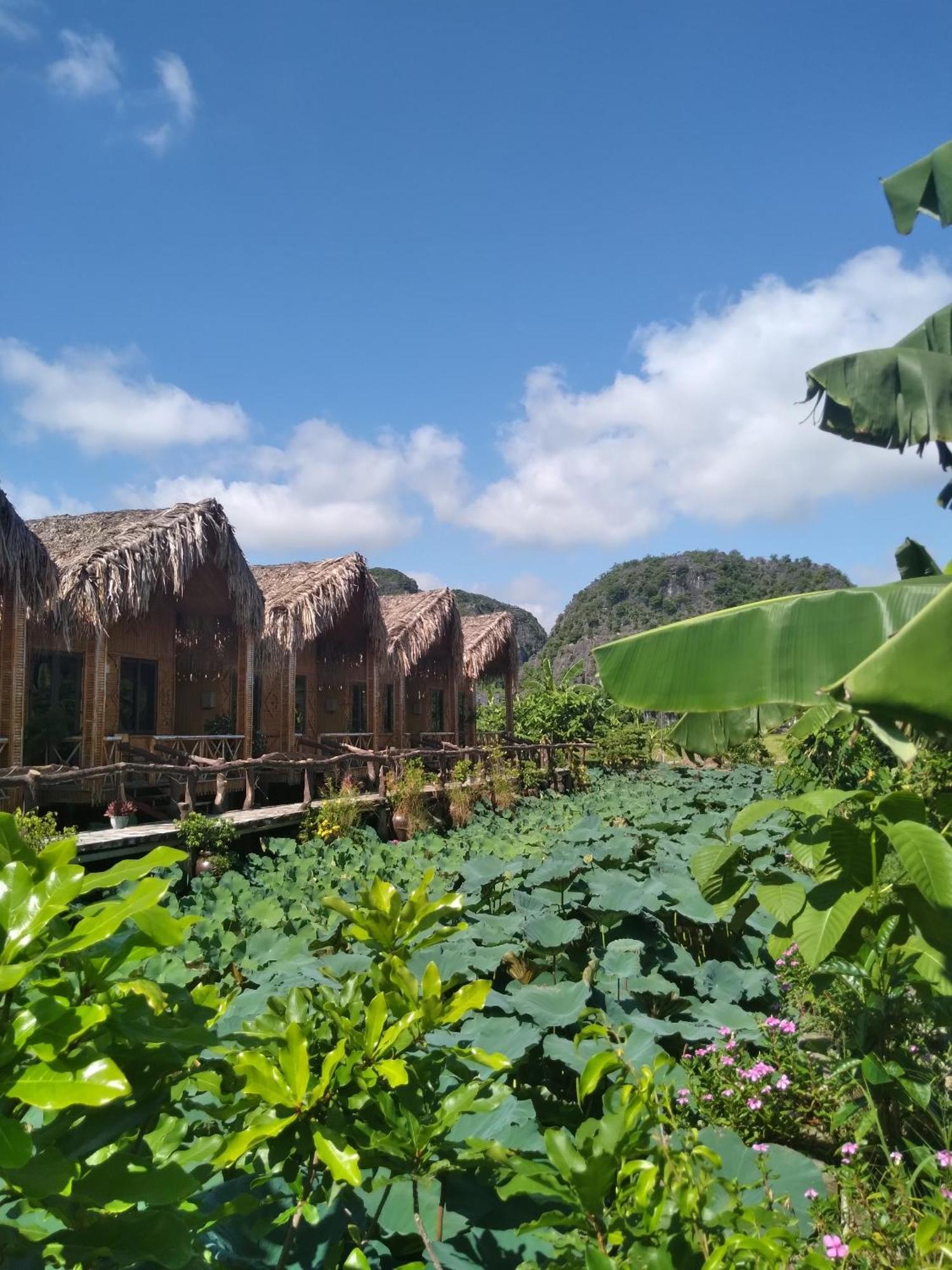 Hang Mua Lotus Homestay Ninh Bình Extérieur photo