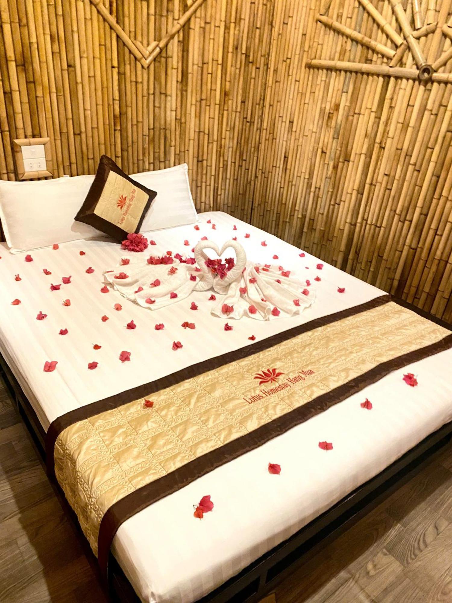 Hang Mua Lotus Homestay Ninh Bình Extérieur photo
